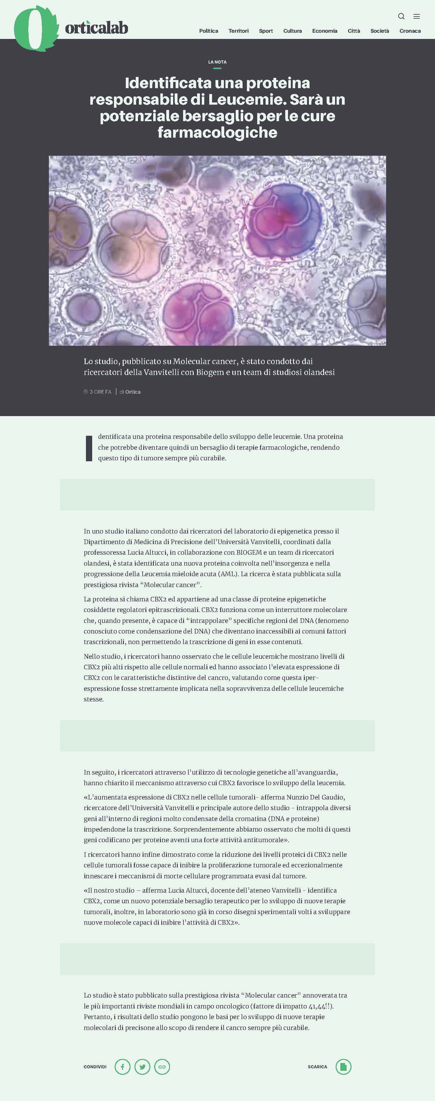 Identificata una proteina responsabile di Leucemie. Sarà un potenziale bersaglio per le cure farmacologiche